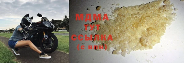 индика Арсеньев