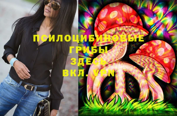 стаф Алзамай