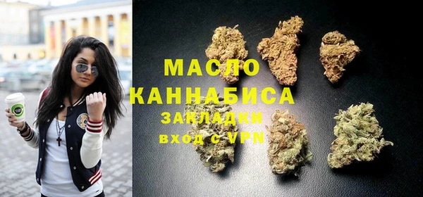 индика Арсеньев