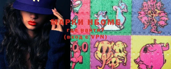 индика Арсеньев