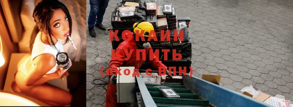 стаф Алзамай