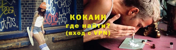 стаф Алзамай