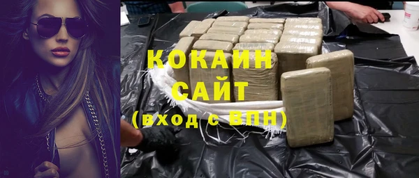 стаф Алзамай